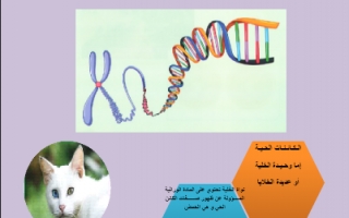 تقرير علوم للصف التاسع الطفرة